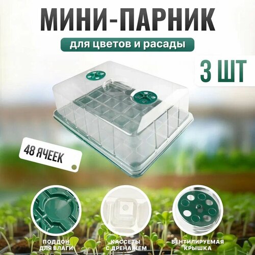 ���� ����-������ ��� ������� ������� ��� ������������ ����� � ������� �� 48 ����� 3�� ������ ������