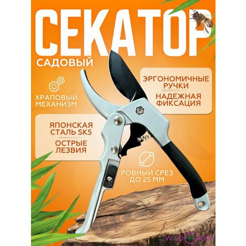 ���� W-GROW ���������������� ������� ������� � �������� ���������� ������ ������