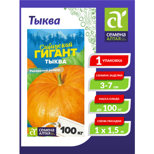 ���� ������ ����� ��������� ������ ������������ 2 ��. ������ ������