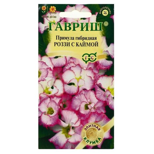 ���� ������ ������ ������� ����� � ������, ��������, ����� ������� ������, 3 �� ������ ������