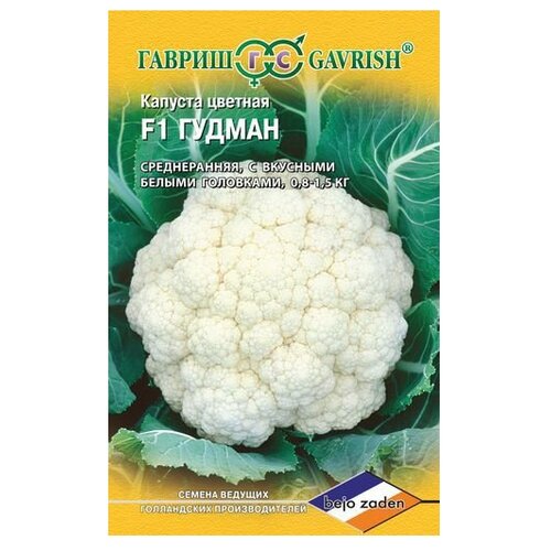 ���� ������ ������ Bejo ������� ������� ������ F1 10 ��., 10 ��. ������ ������