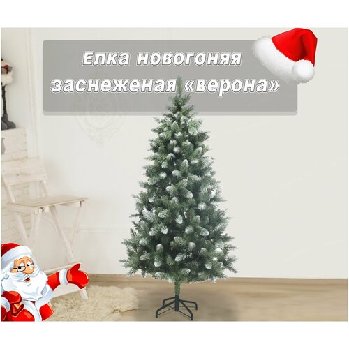 ���� ��� ������������� ����������� 