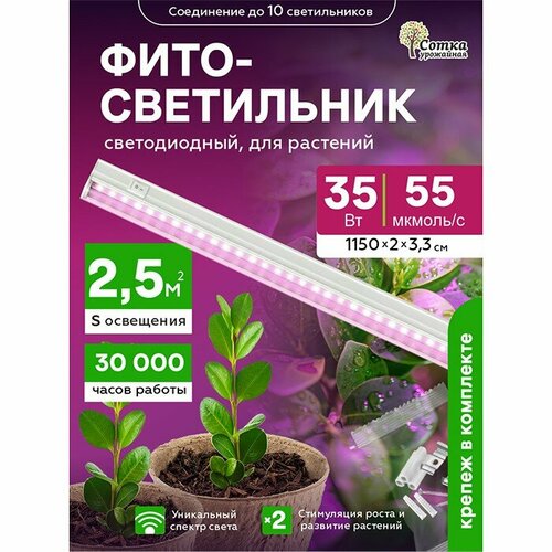 ���� �������������� 