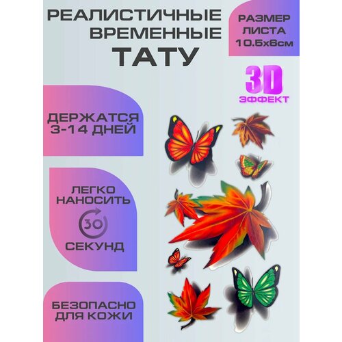 ���� ���� ����������, ��������� ���������� 3D ������� ������ ������