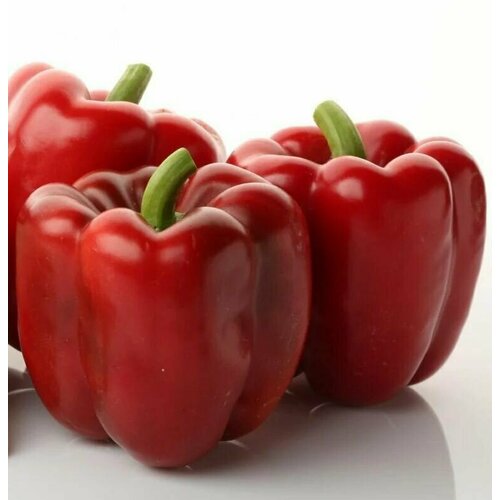 ���� ������������� ������ ����� �������� 3 �������� F1 ������ ������