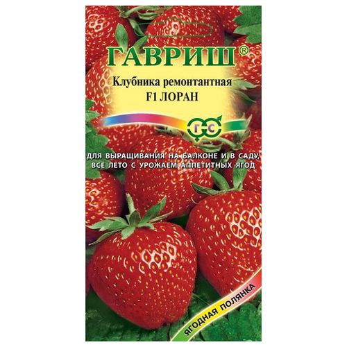 ���� ������ ������ ������� ������� �������� ������������ ����� F1, ��������, 5 ��. ������ ������