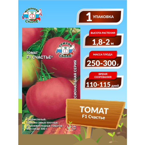 ���� ����� F1 ������� ������ ������