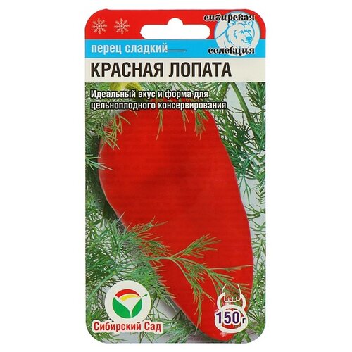 ���� ����� ����� ��������� ��� ����� ������� ������ 15 ��. ������ ������