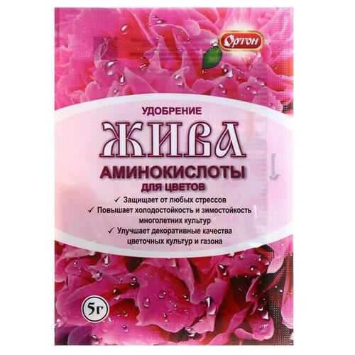 ���� ��������� �� ����������� ���� ��� ������, 5 � ������ ������