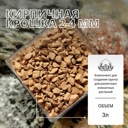 ���� ��������� ������ 2-4�� - 3� / ������ ��� ��������, ����������� ������ ������