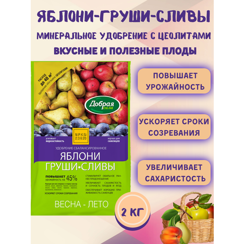 ���� ������ ���� ����� ��������� ������-�����-�����, ����� 2 �� ������ ������