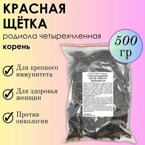 ���� ������� ����� 