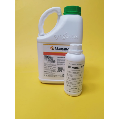 ���� ������������ ������ 500 �� ������ ������