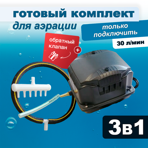 ���� �������� ������� ��� ����� � �����, ���������� + ������� + �����, 30 �/��� ������ ������