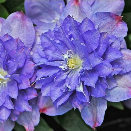 ���� ������ �������� ��������������� ��� ��������� 0,05 � (1 ��������) ������ ������