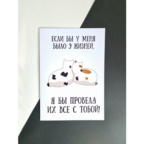 ���� �������� 