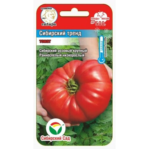 ���� ������ ����� ��������� ����� 20�� ��� ������ (��������� ���) ������ ������