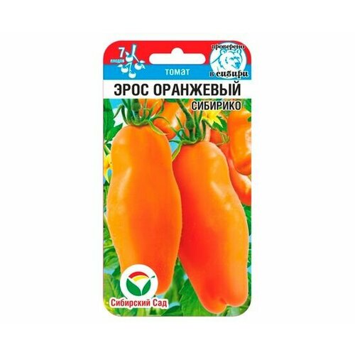 ���� ������ ����� ���� ��������� 20�� ����� (��������� ���) ������ ������