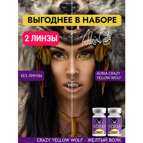 ���� ����� ������� ���� ADRIA Crazy, YELLOW WOLF, ������������, ����������� -0,00, 2 ����� ��� ��������� ������ ������