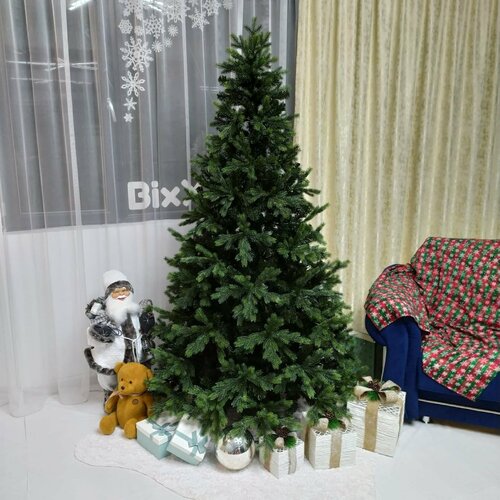 ���� ��� ������������� ���������� �����+���, 210 �� ������ ������