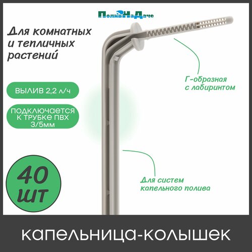 ���� ���������� �-�������� � ����������, 10��, 2�/�, ����� (������������ � ������ ��� 3/5��). �������� 40��. ������ ������