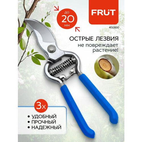 ���� ������� ������������� �������� ������������� FRUT ������ ������