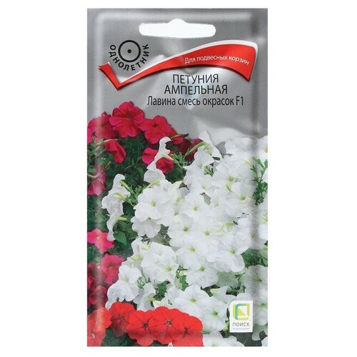 ���� ������ ������� ��������� ������ ����� ������� F1 ���������� 10 ��. ������ ������