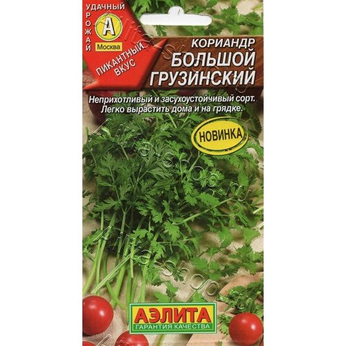 ���� �������� ������� ���������� (3 ��������), ������ ������ ������