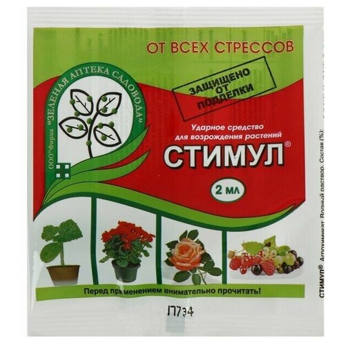 ���� �������� �� ������� �������� ������, ����������� ������, 2 �� ������ ������