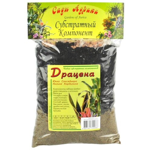 ���� �������� ���� ������ �������, 1 �, 0.51 �� ������ ������