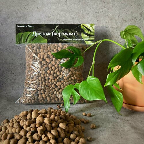 ���� �������� ��� ��������, ������ ��� ������ Terracotta Plant, ��� ��������� ��������, 4 �, ������� 5-10��, �������� �������. ������ ������