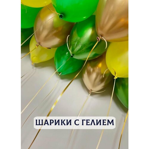 ���� ��������� ���� � ������, ������ ��������� 