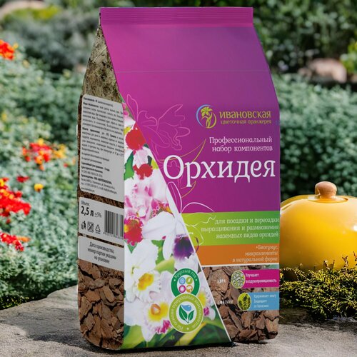 ���� ����� ��� ������� �������� 2.5� / 1��. ���������� ��������� ���������. ������ ������