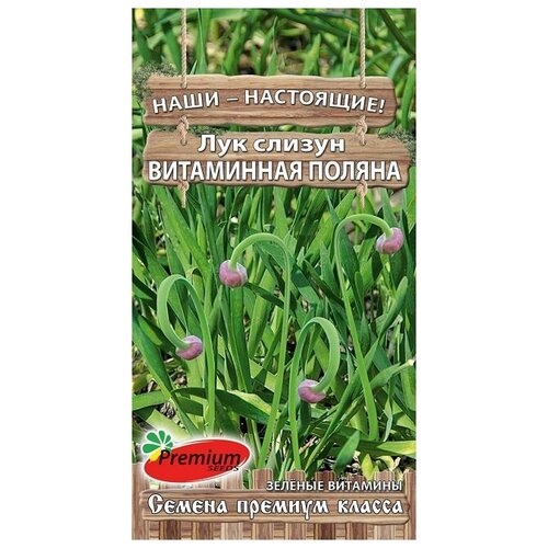 ���� ��� ������ ���������� ������ (0,3 �), 2 ������ ������ ������