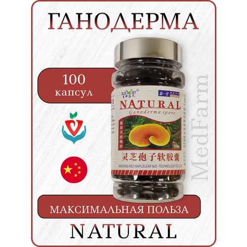 ���� �������� Natural �������� ������, Ganoderma ���������, 100 ������ ������ ������