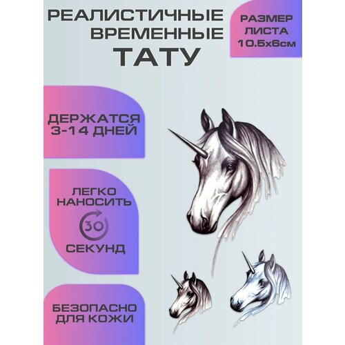 ���� ���� ����������, ��������� ���������� ������ ������ ������