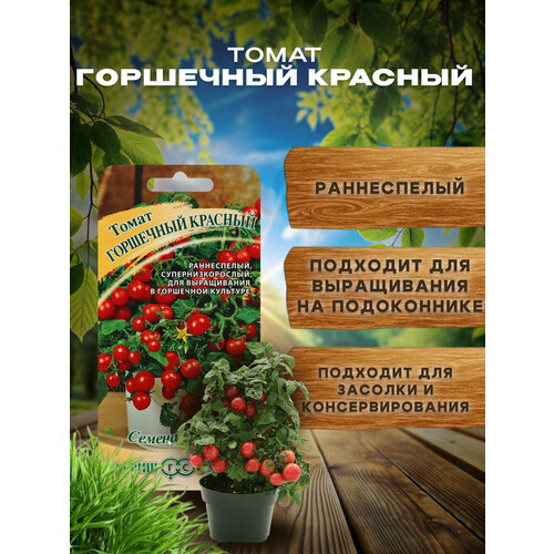 ���� ������ ��������� ������� ���������, �������� ��� ������� � �����������. ������ ������