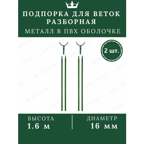 ���� �������� ��� �������� 1.6� 2 ��. ����� ������� ������ ������
