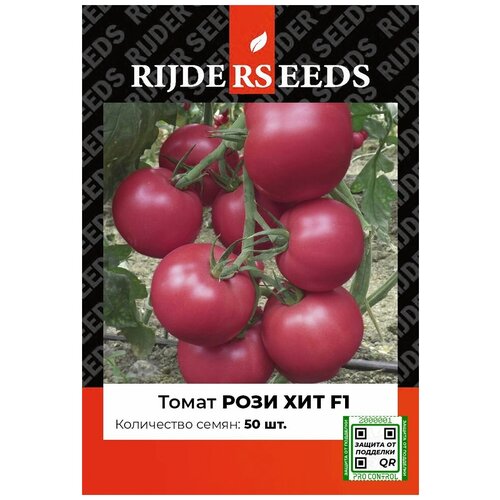 ���� ������ ������ ���� ��� F1 - 50 �� - ������ ������. �� ������ ������