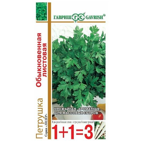 ���� �������� 