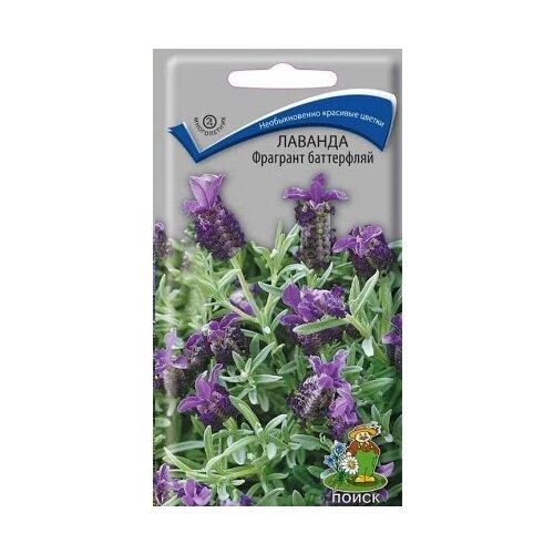 ���� ������� �������� ���������� (20 �����), 2 ������ ������ ������