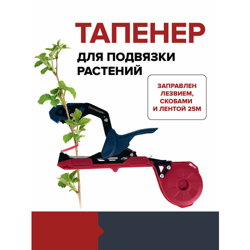 ���� ������� ��� �������� �������� ������� ������� FACHMANN ������ ������