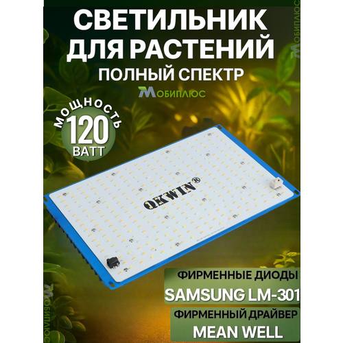 ���� ���������� ��� �������� Q�win quantum board, 120 ���� Mean Well, ����� Samsung LM-301B, 288 ����. ������ ������ �� �� ������ ������