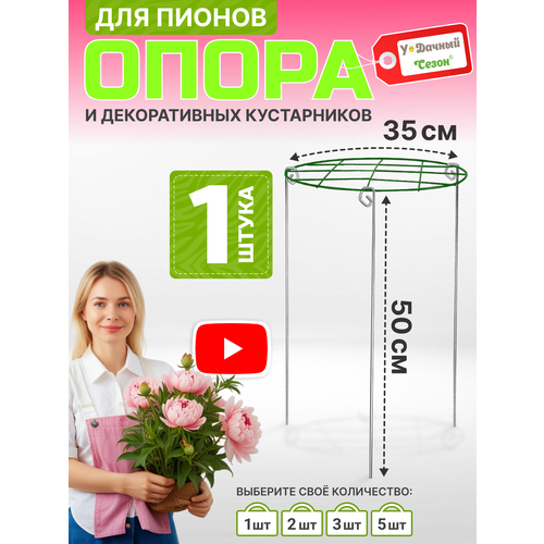���� ����� ��� ������ ������������ ����� ������� 35 ��, ������ 50 �� ������ ������