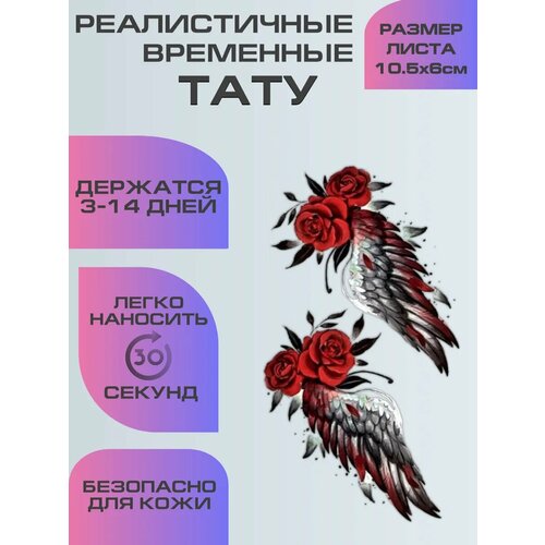 ���� ���������� ����������, ��������� ���� ���� � ������ ������ ������