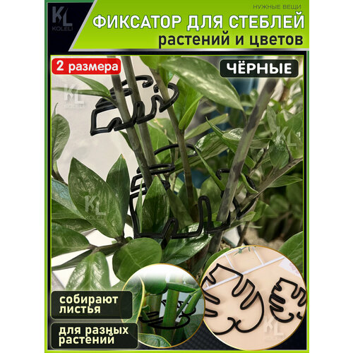 ���� KoLeli / �������� ��� ����� ������� � �������, �������� �����, ������ ������ ������