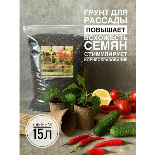 ���� ����� ��� ������� 15 ������ � ���������� ������������� Terracotta Plants ������ ������
