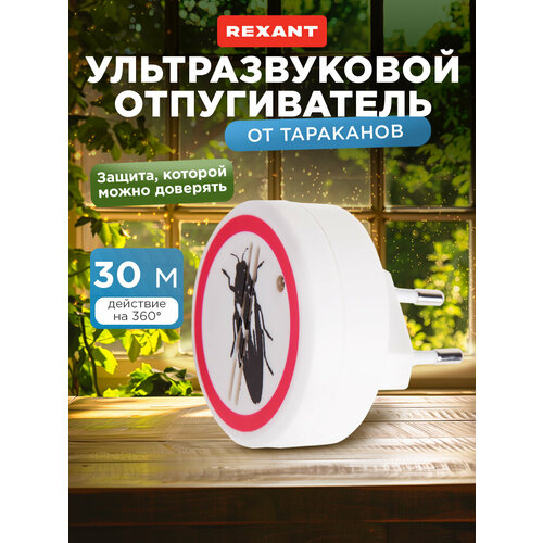 ���� ������������ ��������� REXANT, ����������, ������� �� ����, 220 �� ������ ������