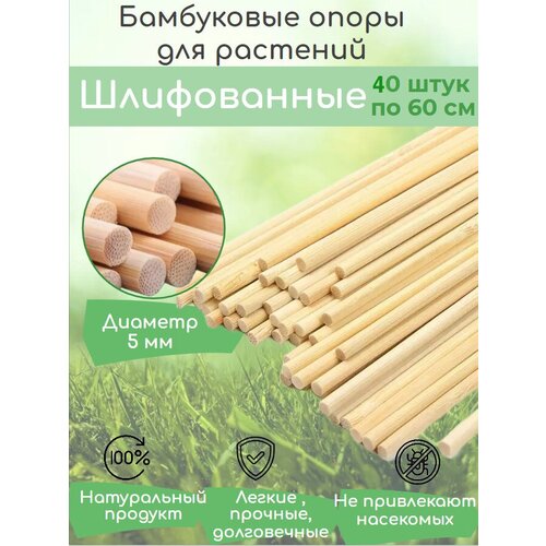 ���� ���������� ����� ��� ��������, ������ � �������, ����������� ����� 60 �� 40 ����, ������� ������� ������� 5 �� ������ ������