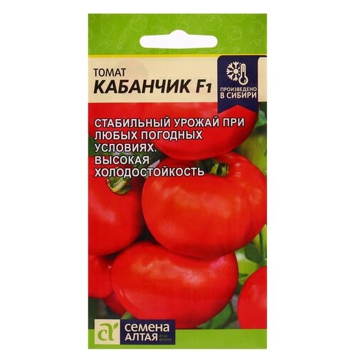 ���� ������ ������ ����� ����� �������� F1, 5 ��. ������ ������